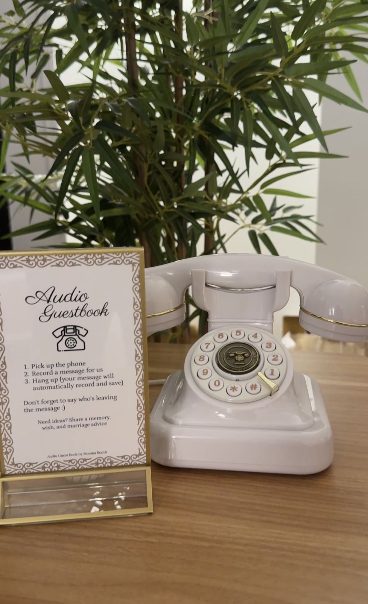 White photobooth setup with studio flash and umbrella